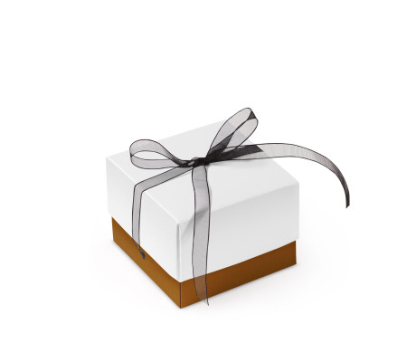 Bonita Caja Regalo con Tapa y Lazo Decorativo