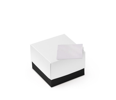 Bonita Caja Regalo con Tapa y Lazo Decorativo