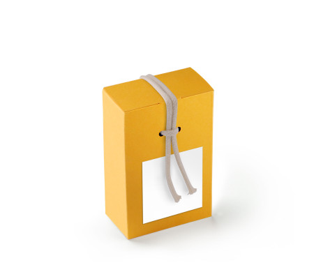 Cardboard Gift Box with a Very Original Fastener