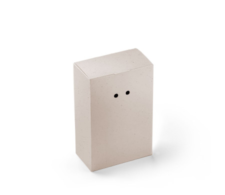 Geschenkverpackung aus Karton mit einem sehr Originellen Verschluß