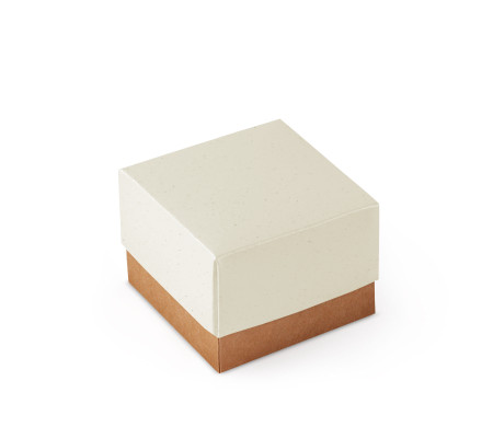 Schöne Geschenkbox mit Deckel und Schleife