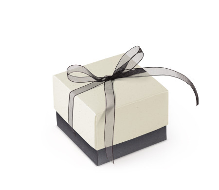 Bonita Caja Regalo con Tapa y Lazo Decorativo