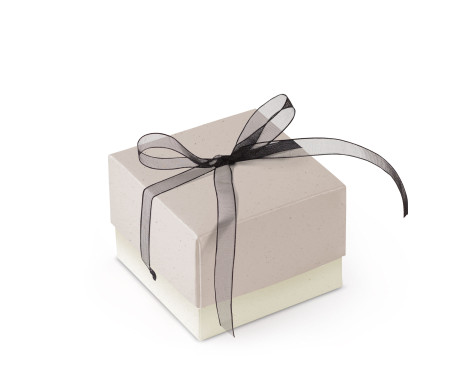 Schöne Geschenkbox mit Deckel und Schleife