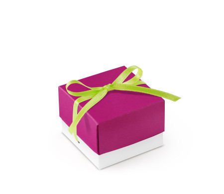 Bonita Caja Regalo con Tapa y Lazo Decorativo