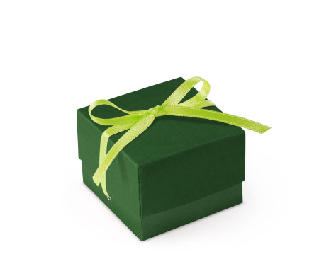 Bonita Caja Regalo con Tapa y Lazo Decorativo