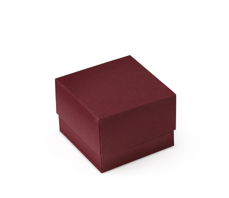 Graziosa Scatola Regalo con Coperchio e Fiocco Decorativo 
