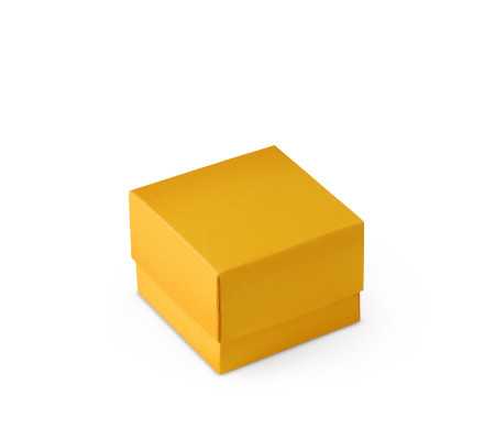 Schöne Geschenkbox mit Deckel und Schleife