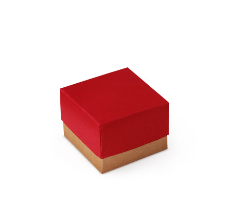 Jolie Boîte Cadeau avec Fermeture et Noeud Décoratif