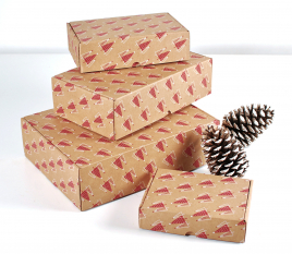 Rectangular self-assembly box