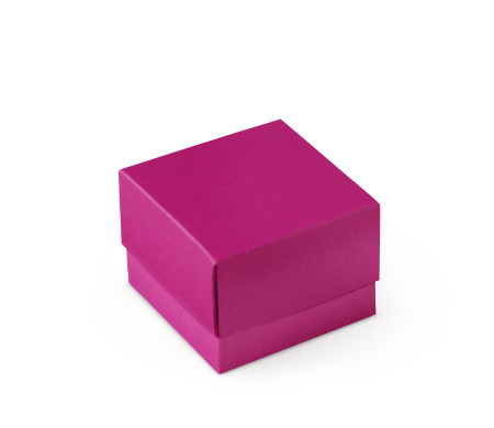 Schöne Geschenkbox mit Deckel und Schleife