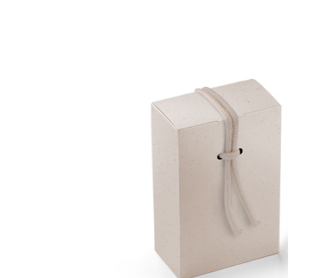 Scatola Regalo in Cartone con Un'Originalissima Chiusura