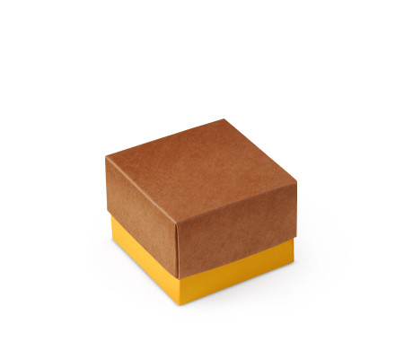 Schöne Geschenkbox mit Deckel und Schleife