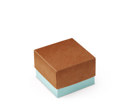 Bonita Caja Regalo con Tapa y Lazo Decorativo