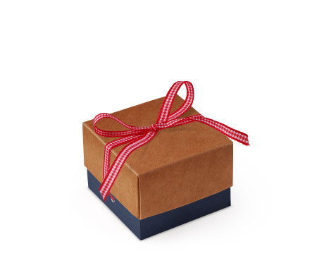 Bonita Caja Regalo con Tapa y Lazo Decorativo