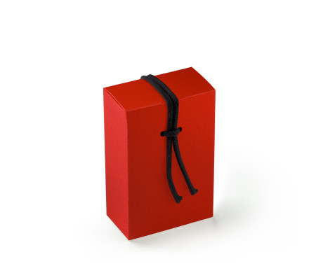 Boîte Cadeau en Carton avec Fermeture Originale