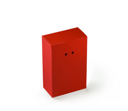 Caja Regalo de Cartón con Un Cierre Muy Original