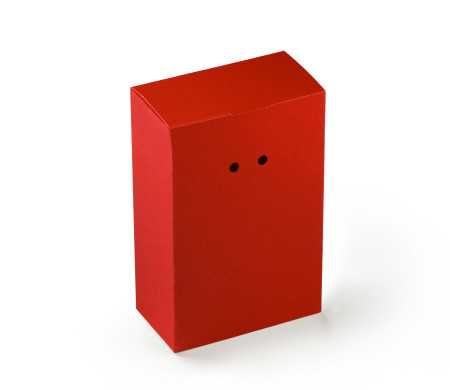 Boîte Cadeau en Carton avec Fermeture Originale
