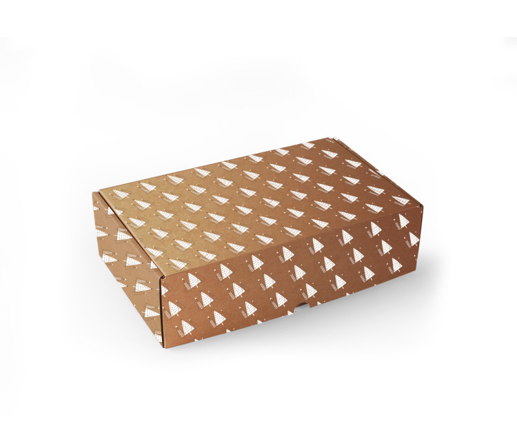 Self-assembling Rectangular Box