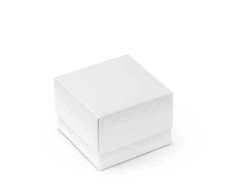 Schöne Geschenkbox mit Deckel und Schleife