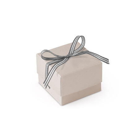 Schöne Geschenkbox mit Deckel und Schleife