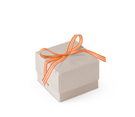 Bonita Caja Regalo con Tapa y Lazo Decorativo