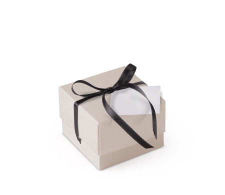 Schöne Geschenkbox mit Deckel und Schleife