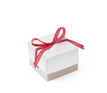 Graziosa Scatola Regalo con Coperchio e Fiocco Decorativo 