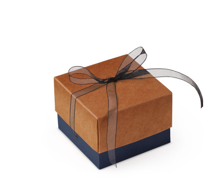 Bonita Caja Regalo con Tapa y Lazo Decorativo