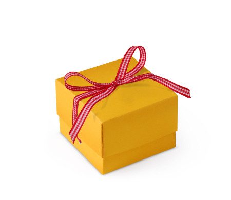 Schöne Geschenkbox mit Deckel und Schleife