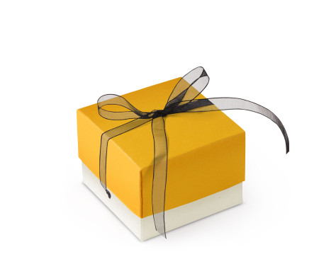Bonita Caja Regalo con Tapa y Lazo Decorativo