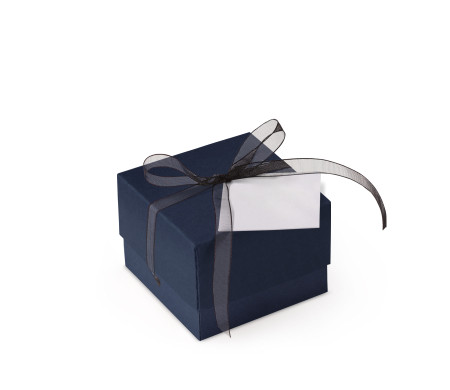 Graziosa Scatola Regalo con Coperchio e Fiocco Decorativo 