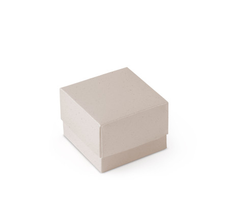 Schöne Geschenkbox mit Deckel und Schleife