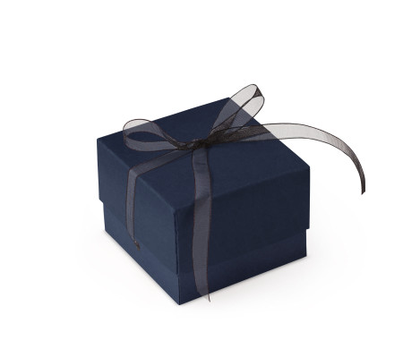 Schöne Geschenkbox mit Deckel und Schleife