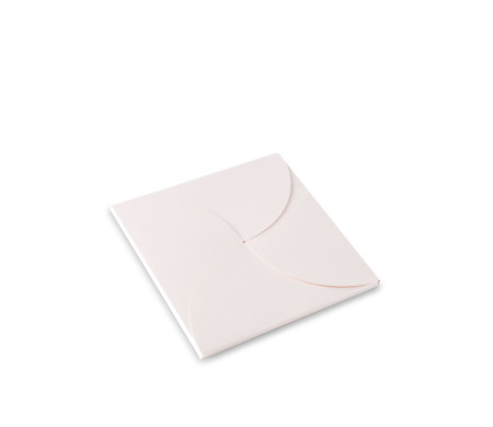 Originelle Schachtel für CDs oder Hochzeitseinladungen