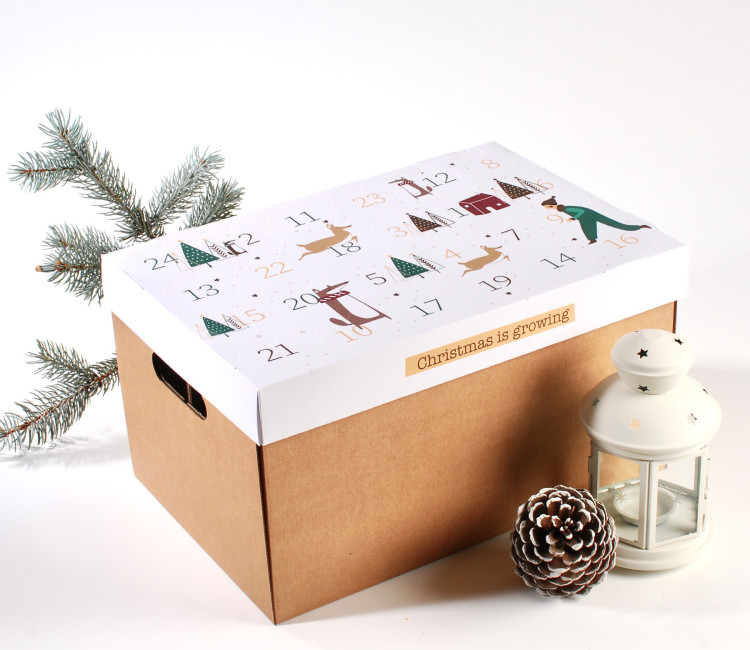 Calendario De Adviento Para Cervezas ... | SelfPackaging
