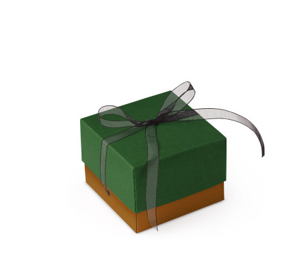Schöne Geschenkbox mit Deckel und Schleife