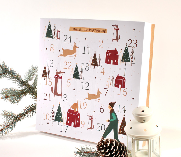 Klassischer Adventskalender | SelfPackaging