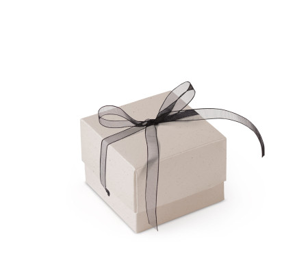 Schöne Geschenkbox mit Deckel und Schleife