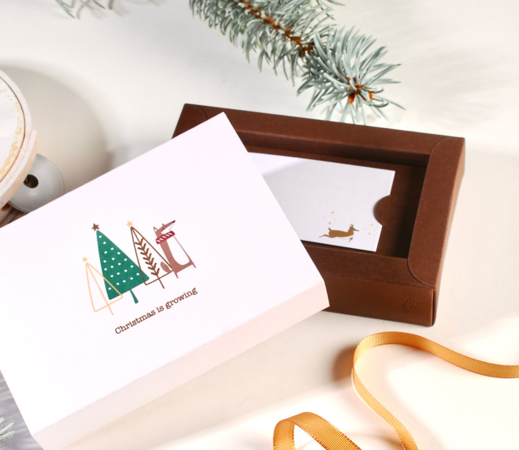 Boîte pour cartes-cadeaux avec impression de Noël