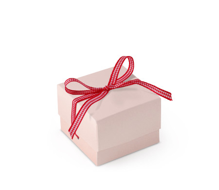 Schöne Geschenkbox mit Deckel und Schleife