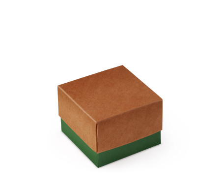 Bonita Caja Regalo con Tapa y Lazo Decorativo