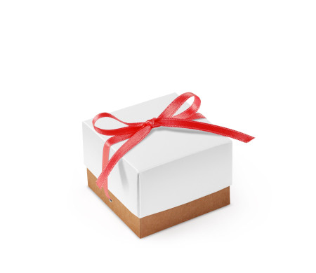 Pretty Gift Box with Lid and Decorative Bow