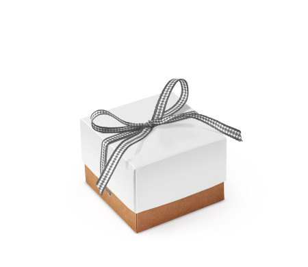 Jolie Boîte Cadeau avec Fermeture et Noeud Décoratif