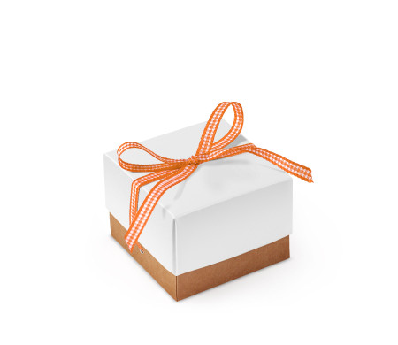 Graziosa Scatola Regalo con Coperchio e Fiocco Decorativo 