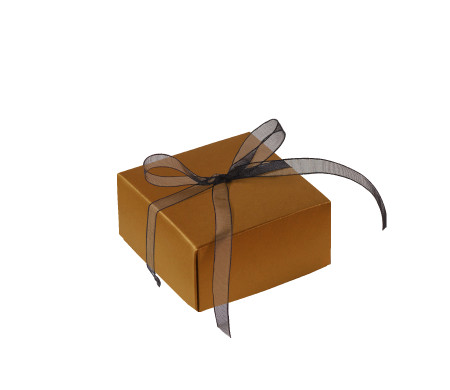 Schöne Geschenkbox mit Deckel und Schleife