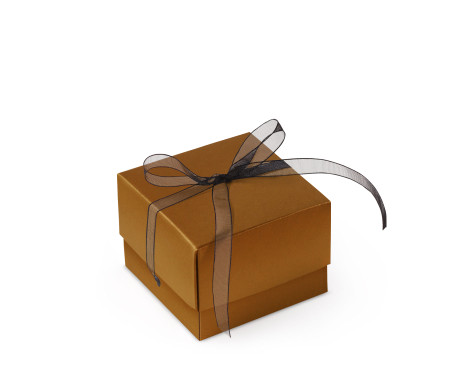Schöne Geschenkbox mit Deckel und Schleife