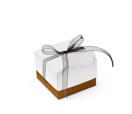 Bonita Caja Regalo con Tapa y Lazo Decorativo