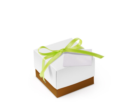 Bonita Caja Regalo con Tapa y Lazo Decorativo