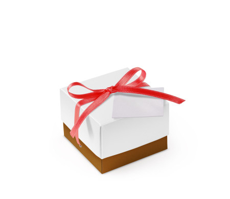 Bonita Caja Regalo con Tapa y Lazo Decorativo