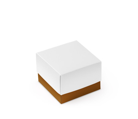 Schöne Geschenkbox mit Deckel und Schleife